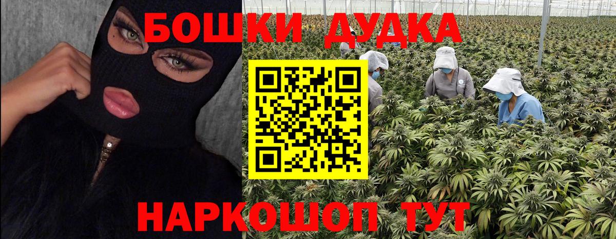 Конопля план  Каннабис конопля  Энгельс  Марихуана планчик  Вход с VPN 